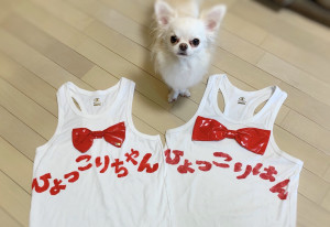 【祝・結婚！】ひょっこりはんがひょっこりちゃんと結婚発表！芸人仲間も早速お祝い!