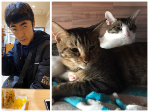 猫の面白いとこ【たくろう赤木の面白いとこ #4】