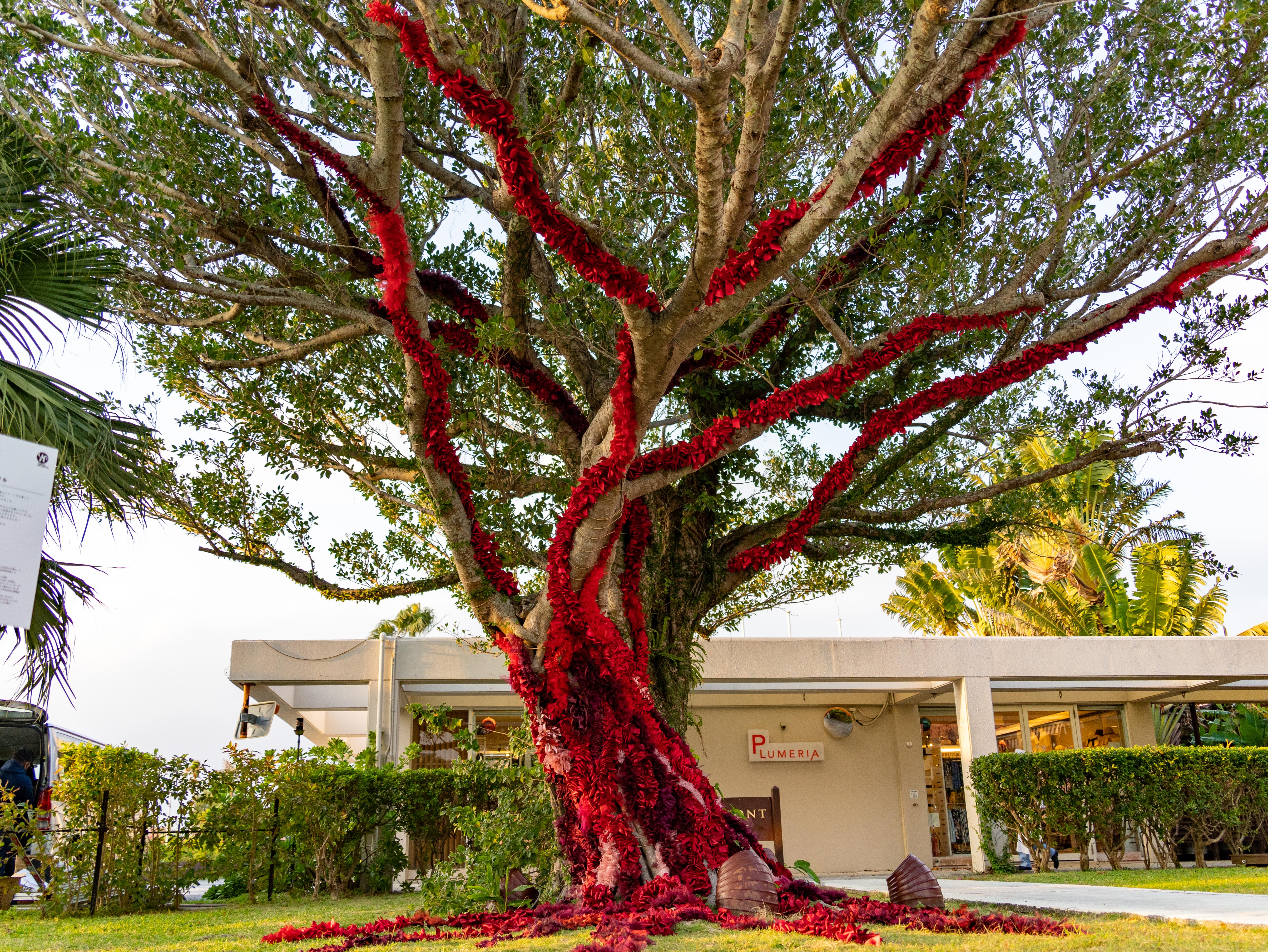 出典: FANY マガジン