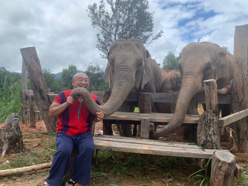 タイ住みます芸人 あっぱれコイズミ、象の保護施設を応援するクラウドファンディング開始!