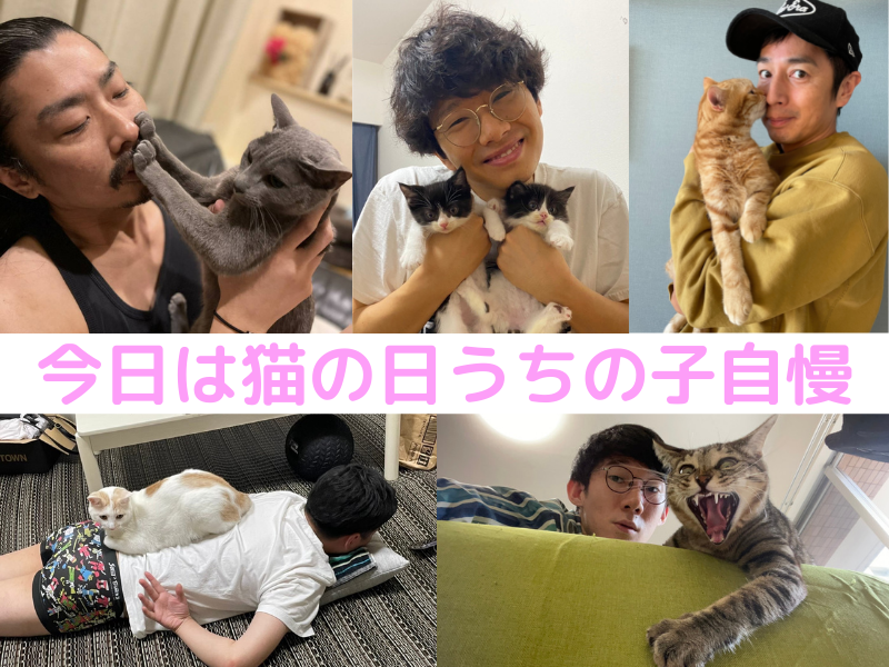 今日は猫の日! うちの子自慢