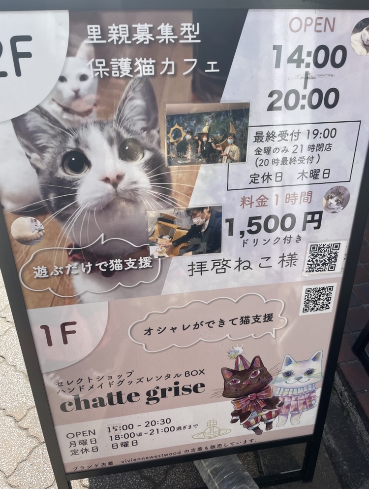 2022年2月22日 記念すべき『猫の日』に保護猫カフェのオンラインサロン