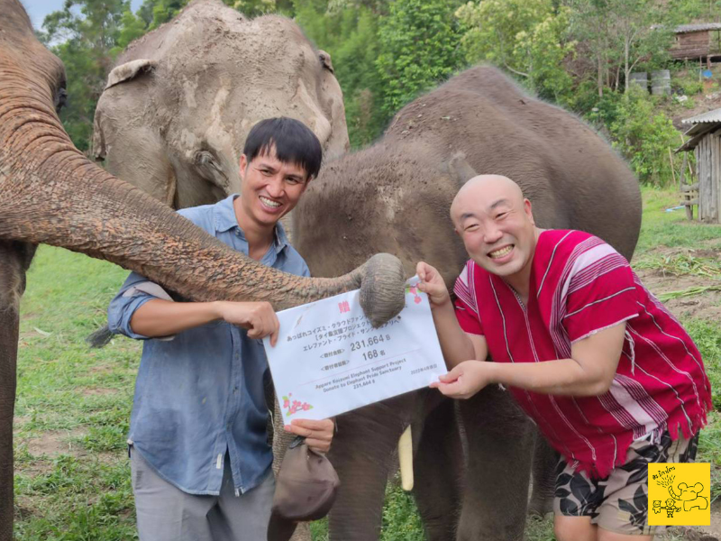 タイ住みます芸人 あっぱれコイズミ、クラウドファンディングでタイの象と象保護施設を応援! 象たちも一緒に寄付金贈呈式を実施! | FANY ...