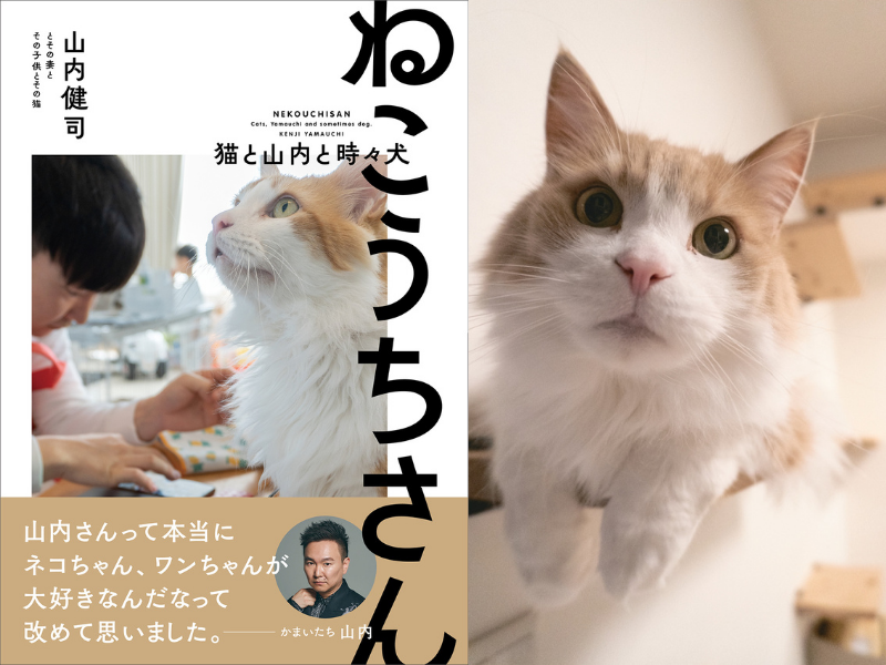 かまいたち山内が自ら撮って書いて描いた愛猫写真集『ねこうちさん 猫