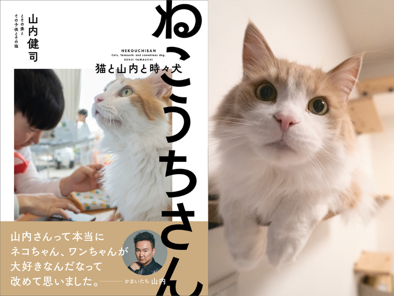 かまいたち・山内の愛猫写真集『ねこうちさん 猫と山内と時々犬』出版記念サイン会7月30日開催! | FANY Magazine