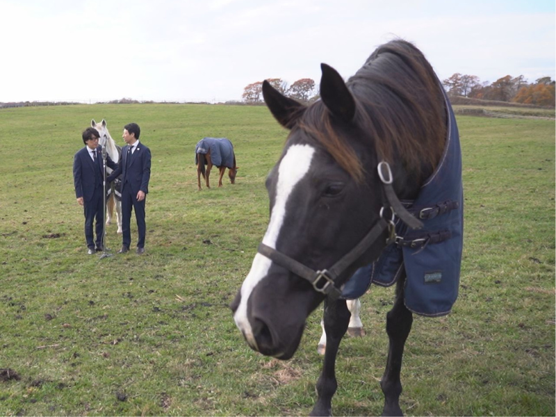 囲碁将棋が馬に阻まれながら北海道の牧場で漫才!?『ZEKKEI NETA CLUB』12月27日より4夜連続放送