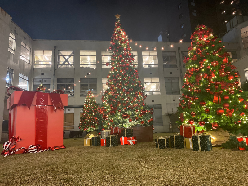 吉本興業東京本部の中庭に巨大クリスマスツリーが登場 芸人もさっそく撮影!