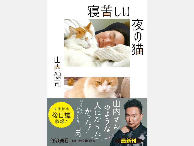 かまいたち・山内健司、エッセイ『寝苦しい夜の猫』が文庫化決定