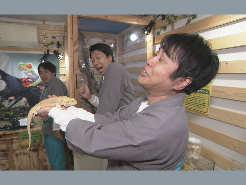 ノンスタ井上、藤崎マーケットトキ、祇園木﨑で町ブラロケ!『大阪ほんわかテレビ』