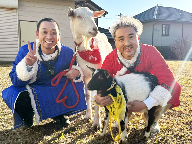 『ヤギと⼤悟』カツオ・勝浦タンタン麺で有名な千葉県勝浦市で雑草モグモグ旅!