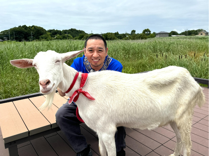 前代未聞! ヤギが主役の旅番組『ヤギと⼤悟』が帰ってきます! 茨城県鉾田市で雑草モグモグ旅! 7月15日放送!