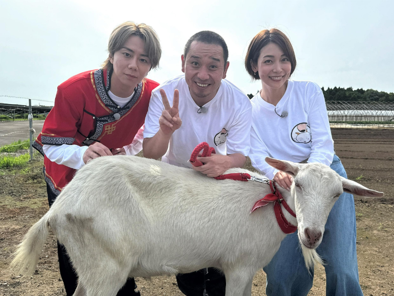 ヤギが主役の旅番組『ヤギと⼤悟』が2時間SPの特番で復活! ゲストには相武紗季＆北山宏光!
