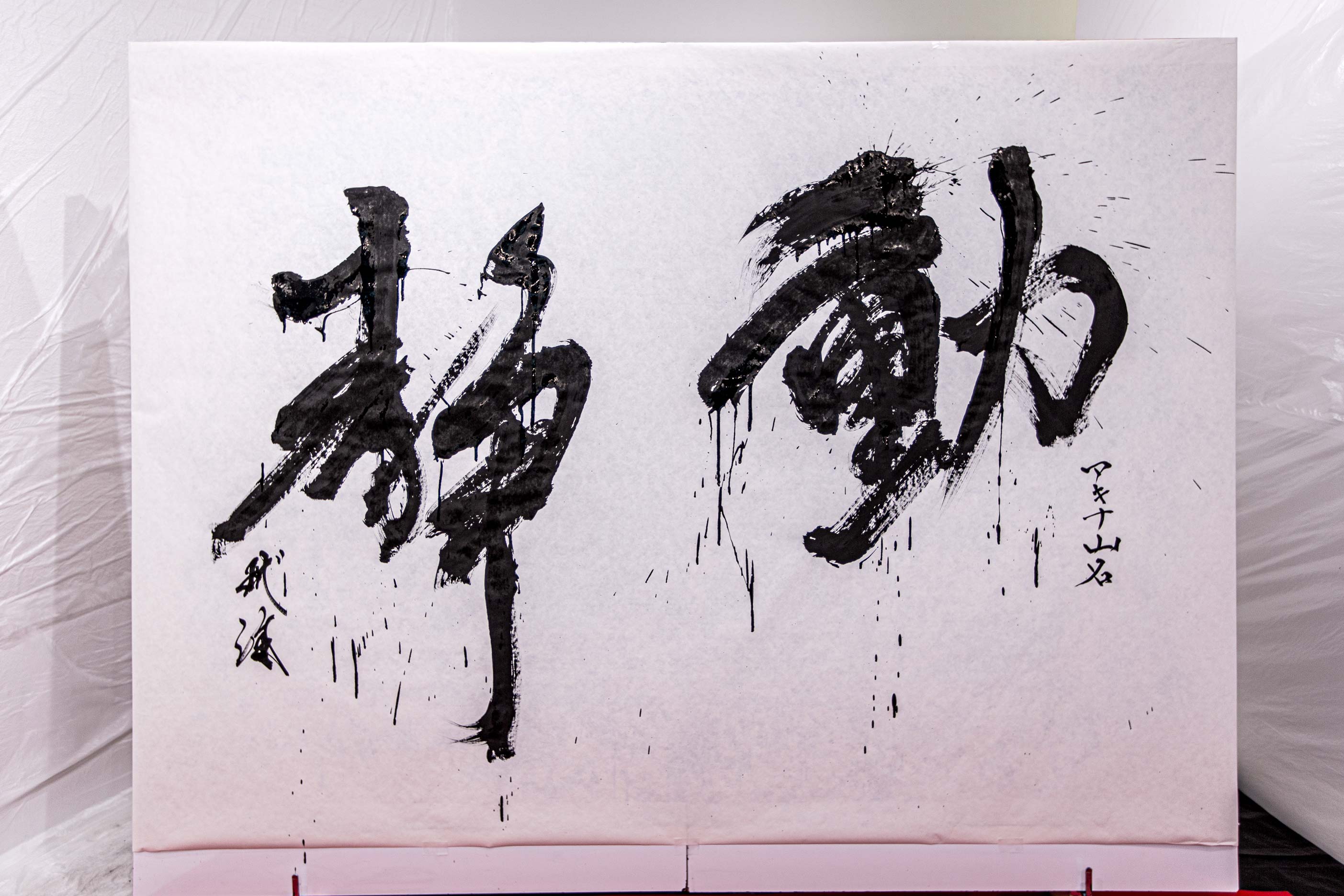 撮影:平口誠