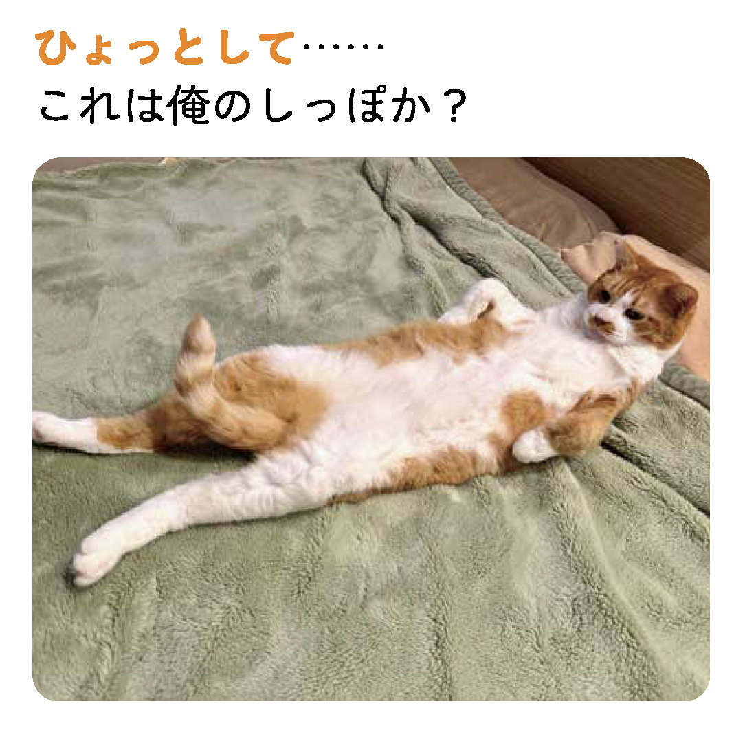 出典: FANY マガジン