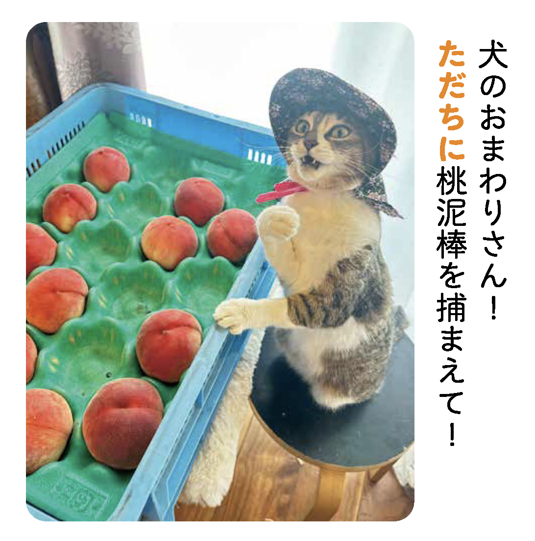 出典: FANY マガジン