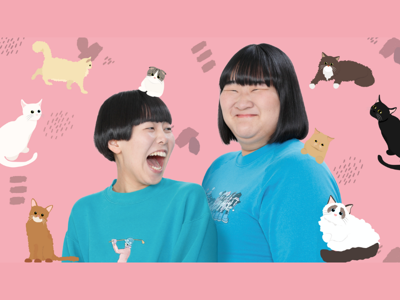 ヨネダ2000が猫だけのライブ配信アプリ「nekochan」で11月6日スペシャル生配信!