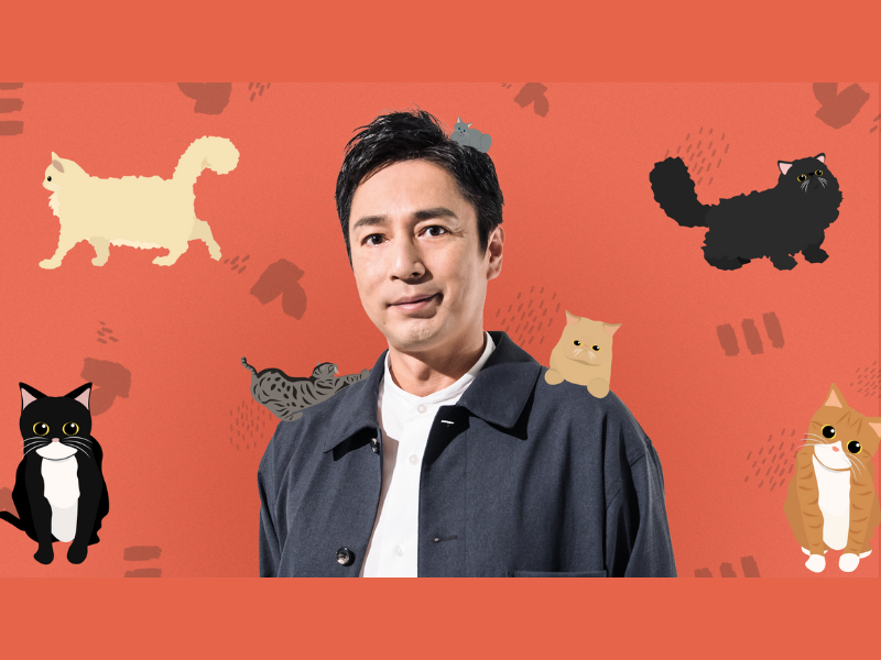 チュートリアル・徳井義実が猫だけのライブ配信アプリ「nekochan」で12月15日スペシャル生配信!