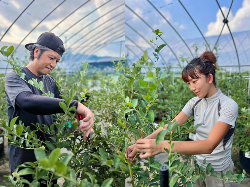 出典: FANY マガジン