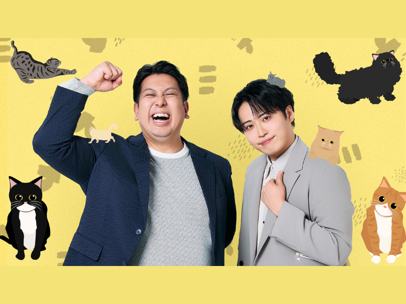 レインボーが猫だけのライブ配信アプリ「nekochan」で1月20日スペシャル生配信!