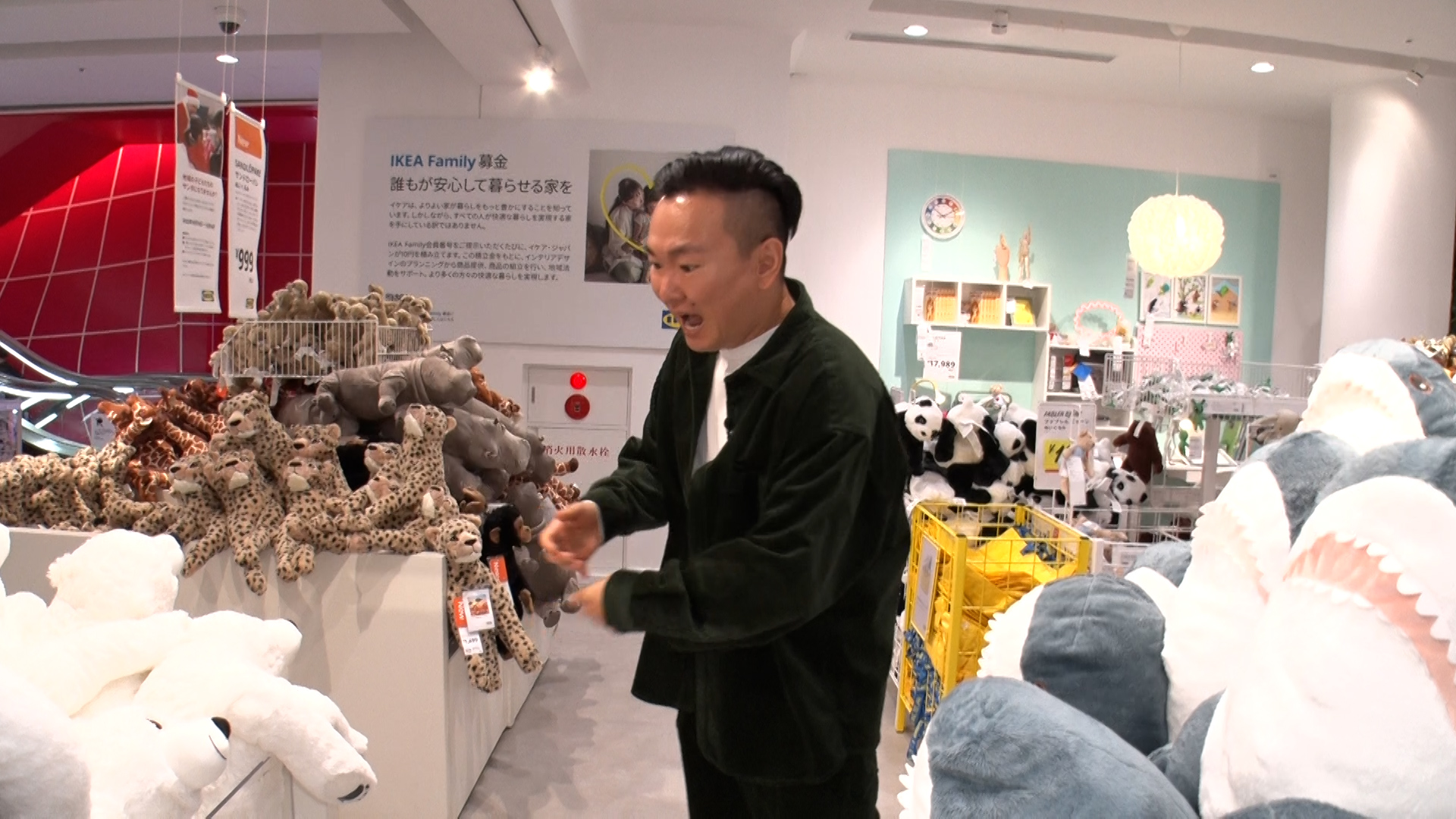 出典: FANY マガジン