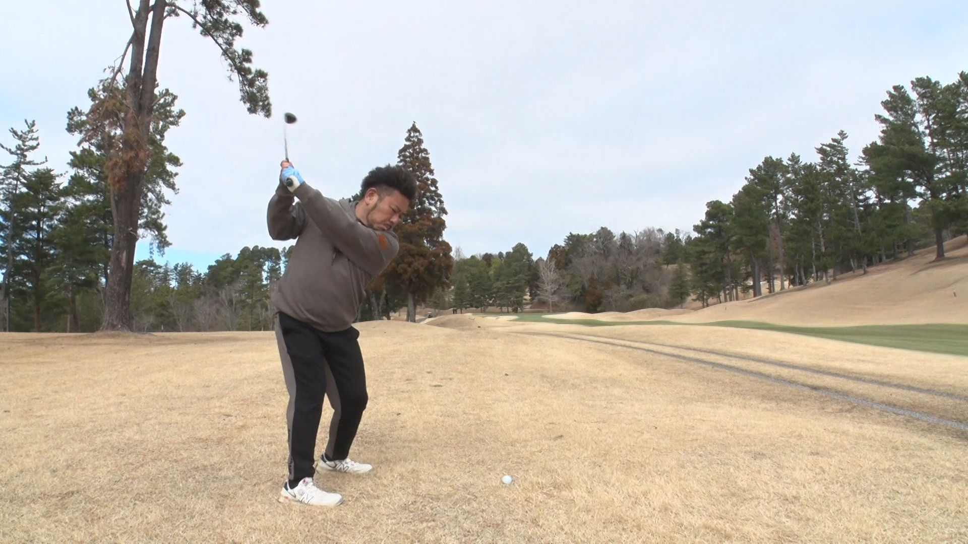 出典: FANY マガジン