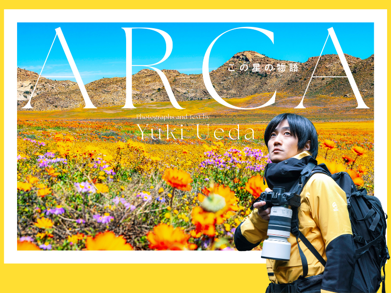 上田優紀写真集『ARCA この星の物語』が6月18日発売!極地の美麗な風景を収録