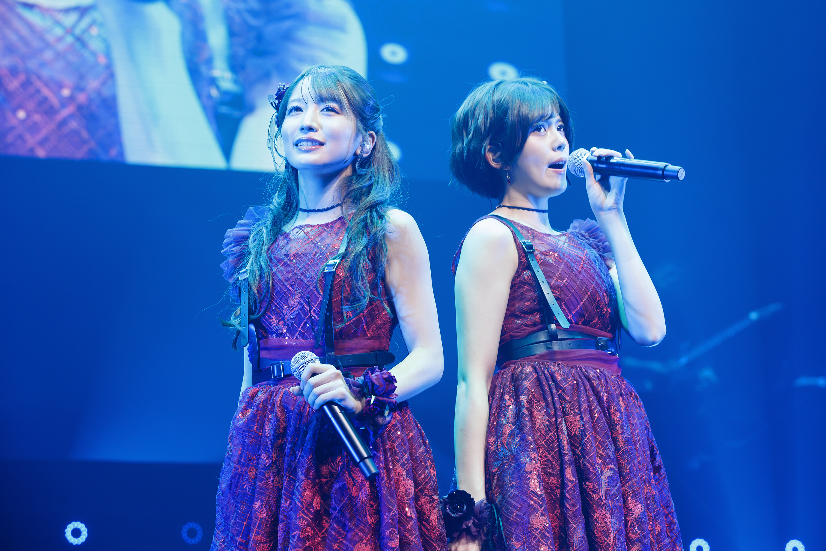 出典: FANY マガジン