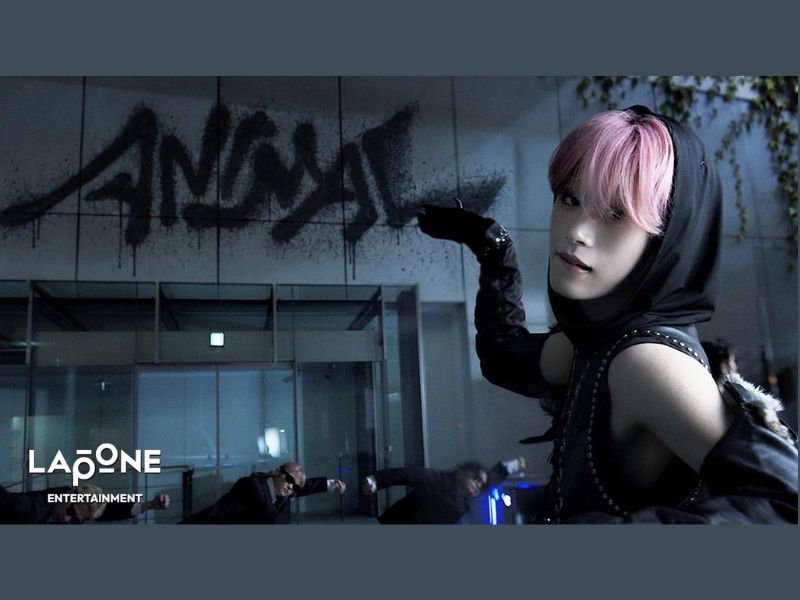 JO1 全米デビューEP『ANIMAL』タイトル曲のMUSIC VIDEOがついに公開！